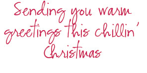 Christmas Cards - Set of 24 - juliemstudios