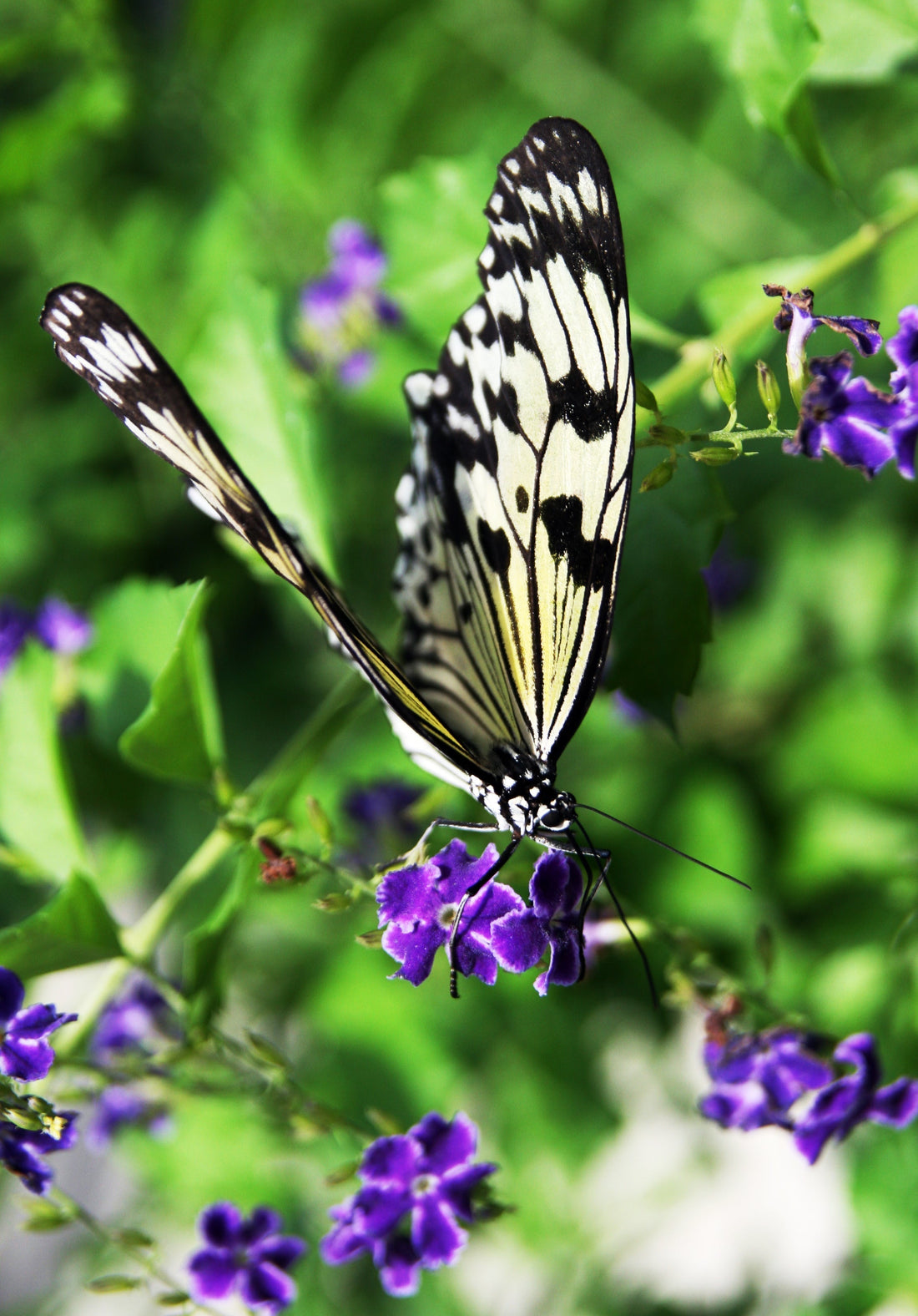 Everyday Update: Finding Magic in the Little Things
