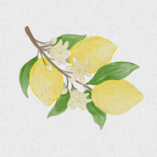 🍋 Lemon Zest: A Splash of Sunshine in Every Stroke
