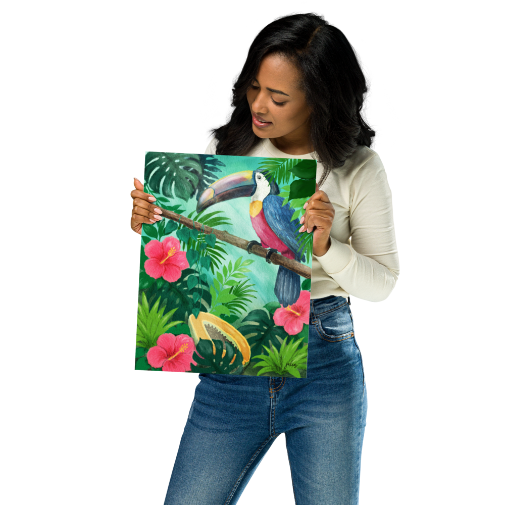 Into the Wild - Toucan