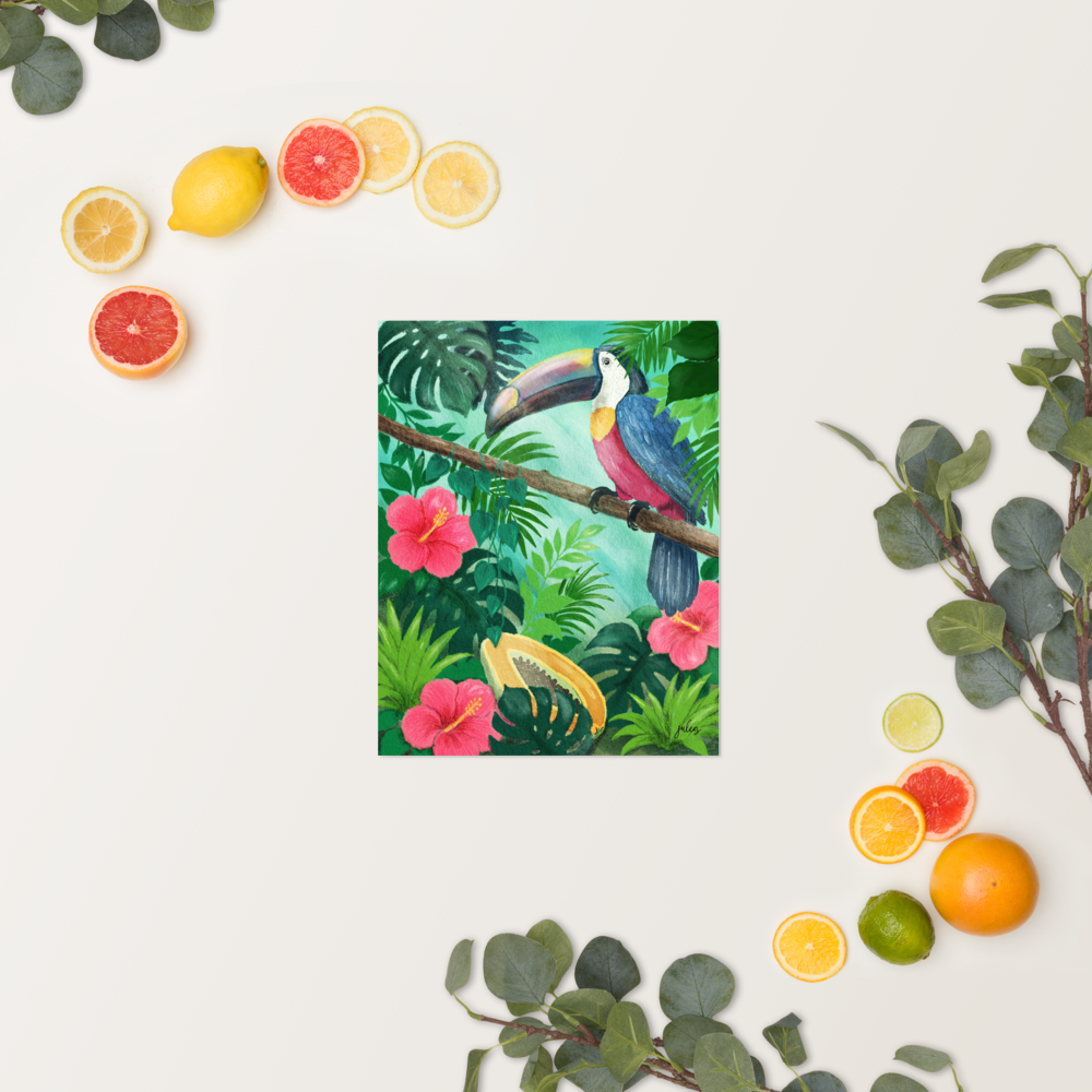 Into the Wild - Toucan