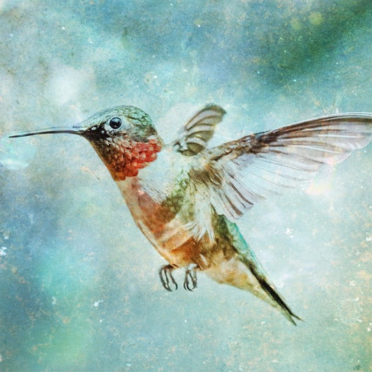 Day 030 - Hummingbird Love - juliemstudios