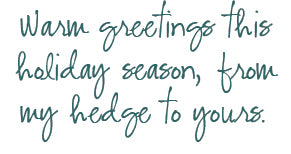 Christmas Cards - Set of 24 - juliemstudios